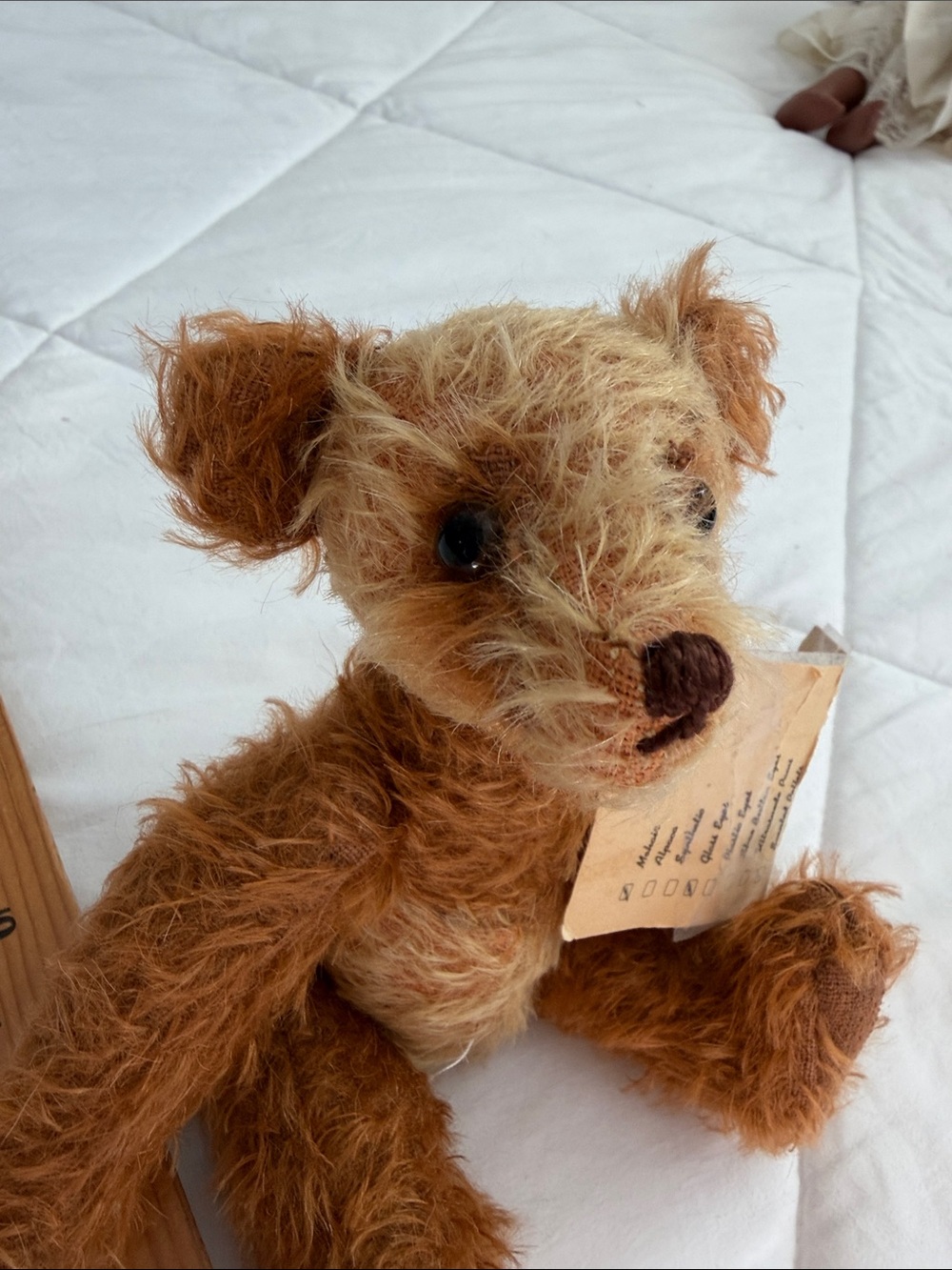 Teddy bear ace - Picture 4 of 11